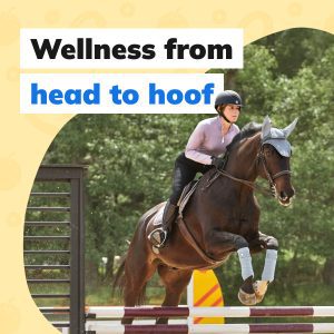 Social Thumbnail for Equine Engagement Materials, Equine