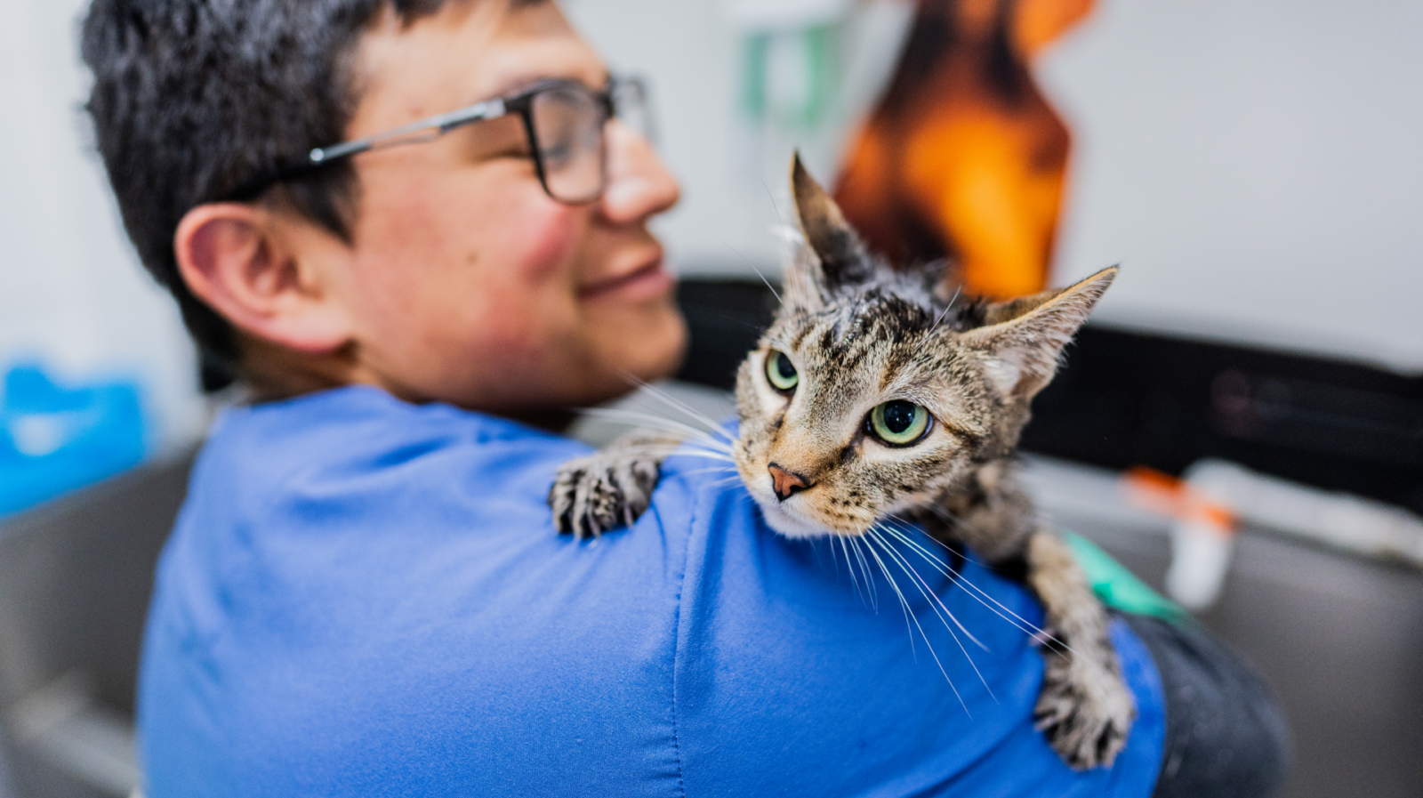 Cat climbing over a vet’s shoulder