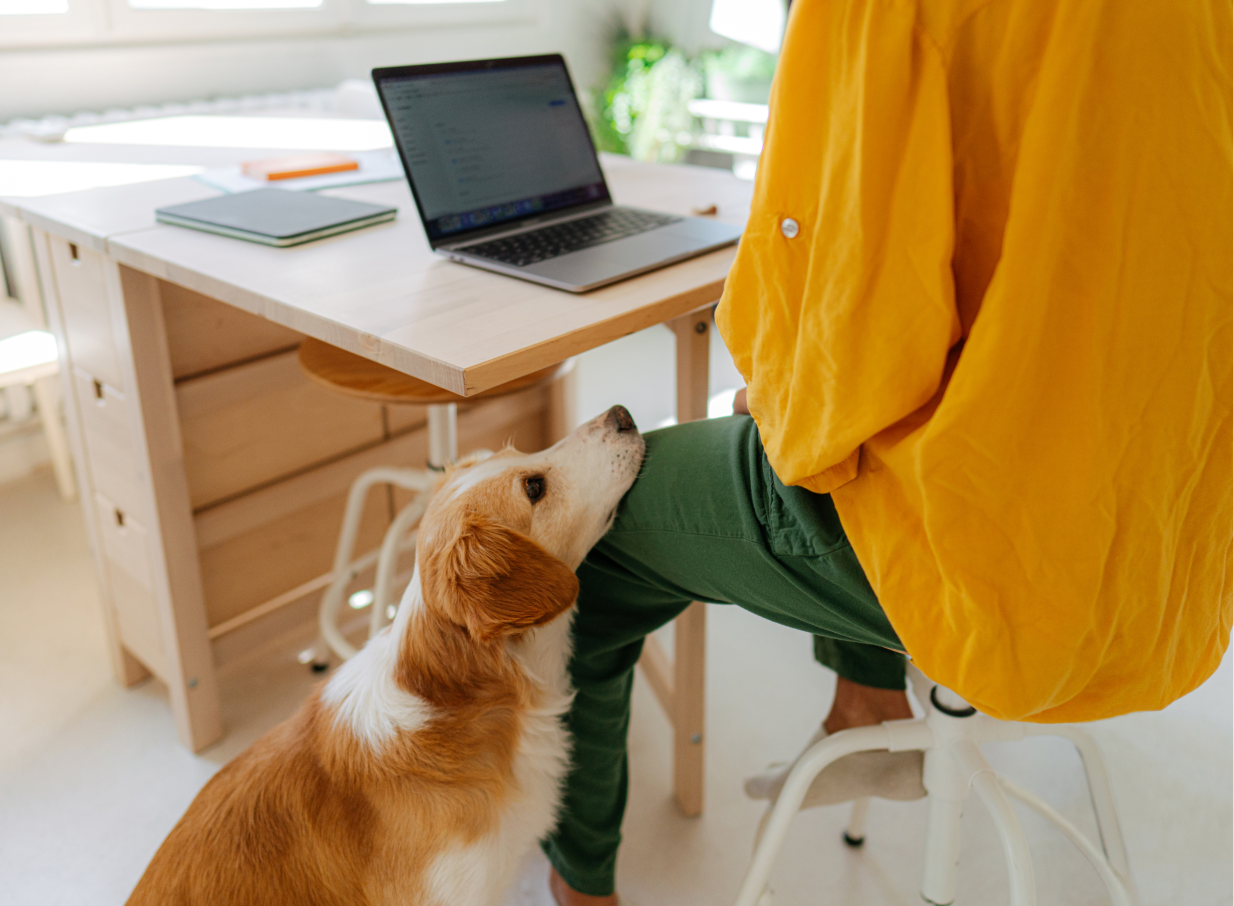 Dog resting its chin on a person’s leg