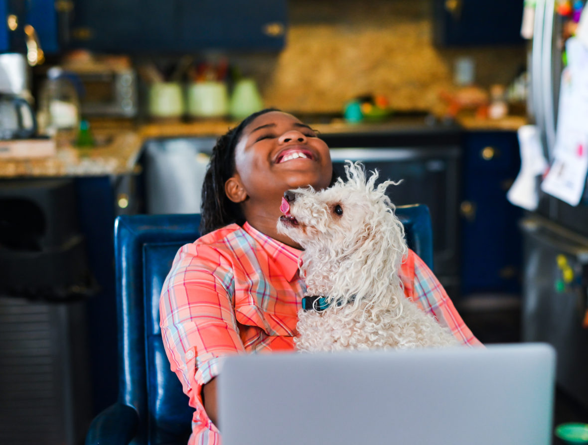 Laughing girl seated in front of a laptop with a white dog on her lap