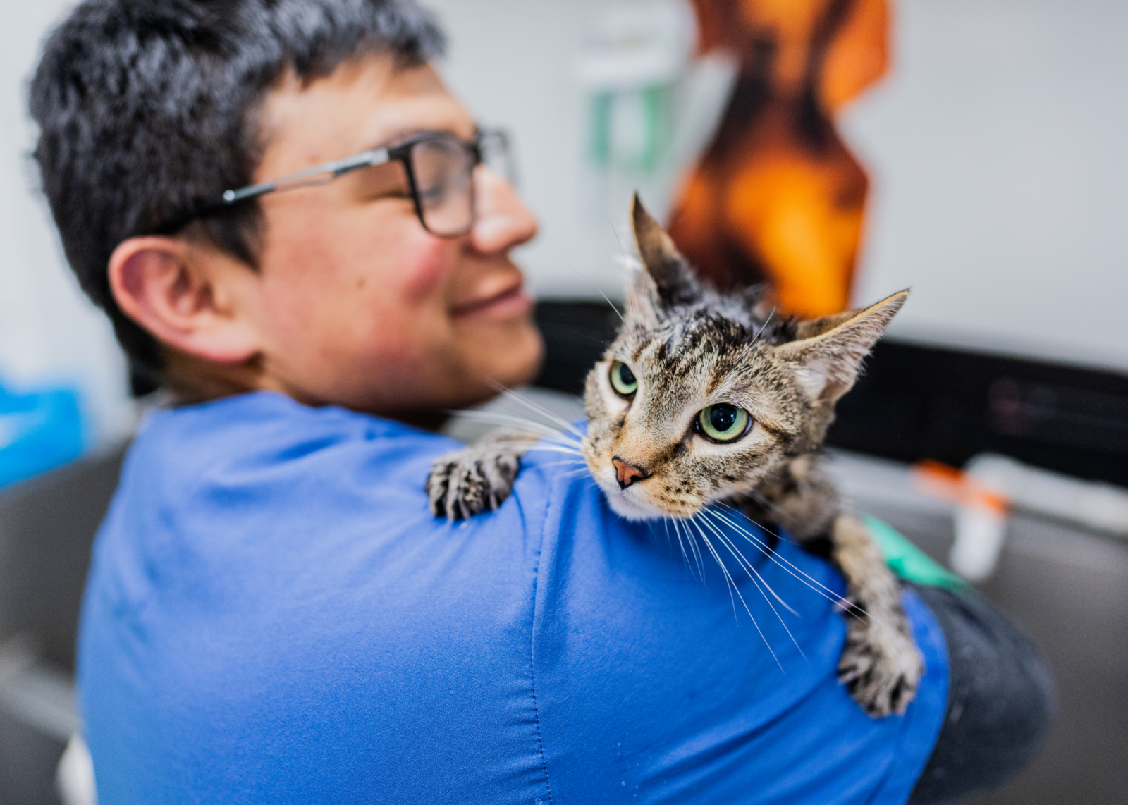 Cat climbing over a vet’s shoulder