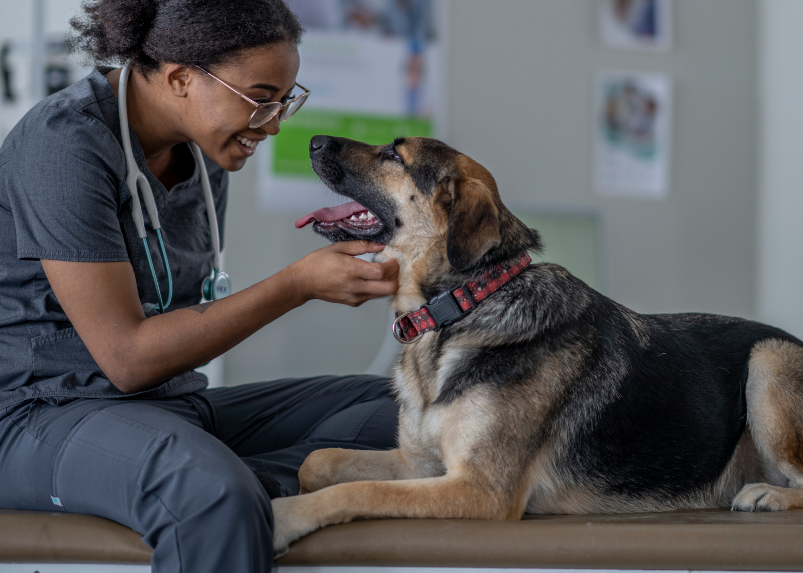 Smiling vet sitting on a bench facing a dog