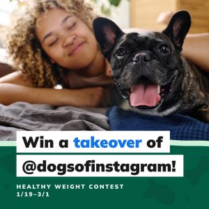 Social Thumbnail for Companion Engagement Materials, Companion