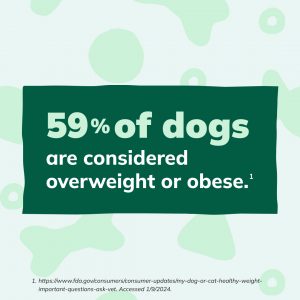 Social Thumbnail for Companion Engagement Materials, Companion