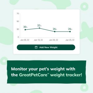 Social Thumbnail for Companion Engagement Materials, Companion