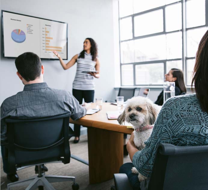 Woman presenting to a group at a table; one person is holding a small white dog on her lap
