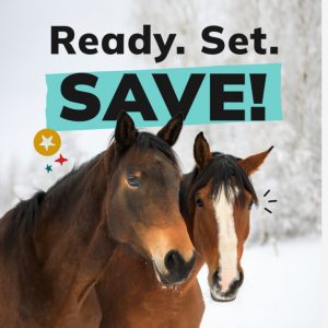 Social Thumbnail for Week 4, Equine