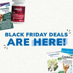 Social Thumbnail for Black Friday, Companion - Elanco