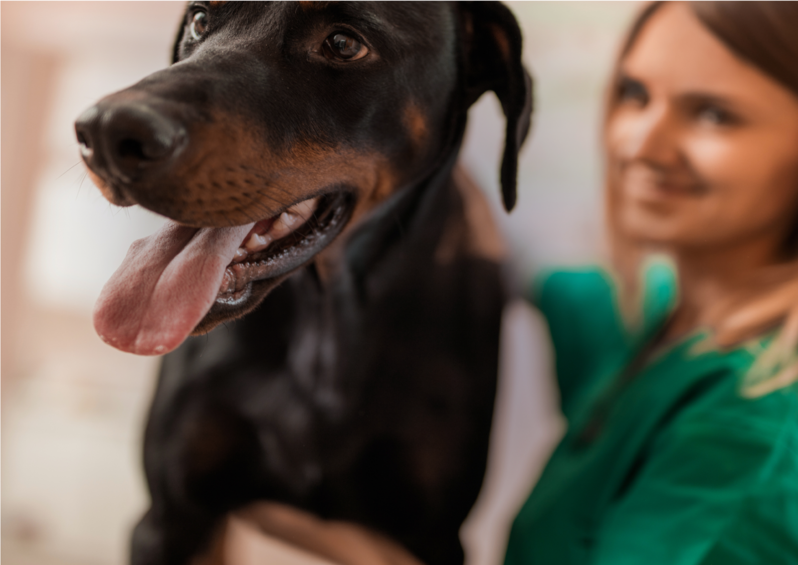 Closeup of a smiling black dog while a female veterinarian looks on in the background