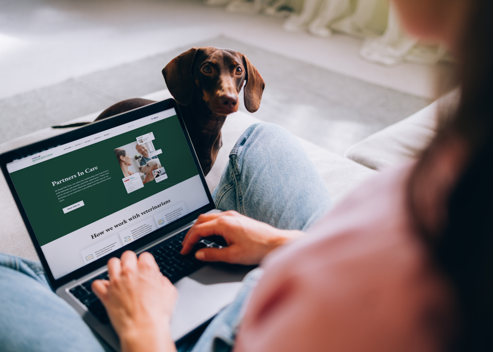 A person looks at the GreatPetCare homepage on a laptop with a small dog watching