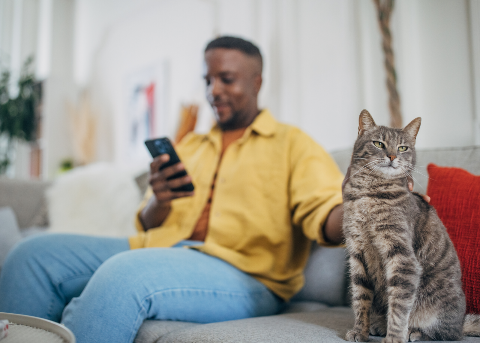 Man looking at a smartphone while sitting on a couch with his cat