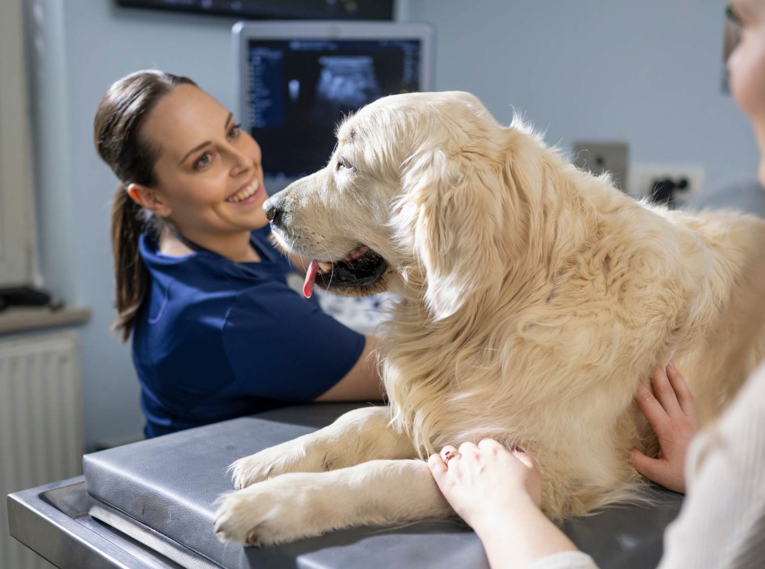 Smiling vet with a large dog and the pet parent in the foreground