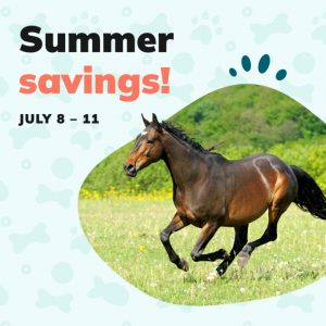 social thumbnail week 2 equine