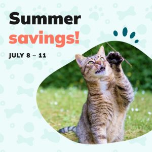 Social Thumbnail for Week 2, Companion