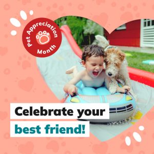 Pet Appreciation - IG Post