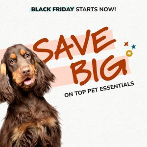 Social Thumbnail for Week 3, Companion - Canine