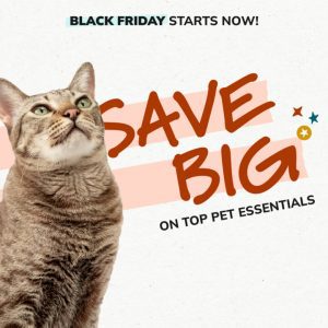 Social Thumbnail for Week 3, Companion - Feline