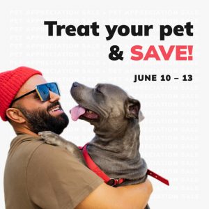 Social Thumbnail for Week 2, Canine