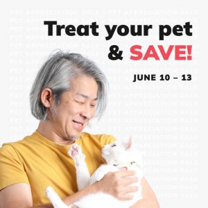 Social Thumbnail for Week 2, Feline