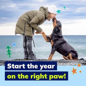 Client Marketing Materials, Companion