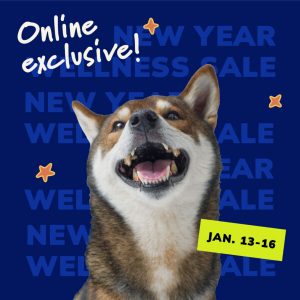 Social Thumbnail for Week 2, Companion