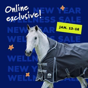 Social Thumbnail for Week 2, Equine