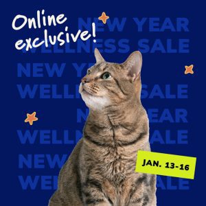 Social Thumbnail for Week 2, Companion