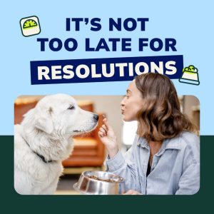 Client Marketing Materials, Companion