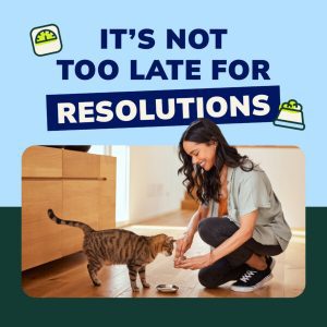 Client Marketing Materials, Companion