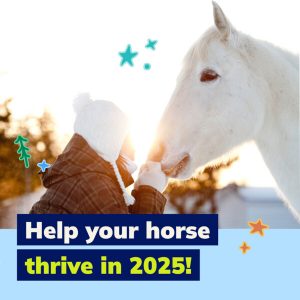 Client Marketing Materials Thumbnail, Equine
