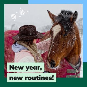 Social Thumbnail for Equine Engagement Materials, Equine