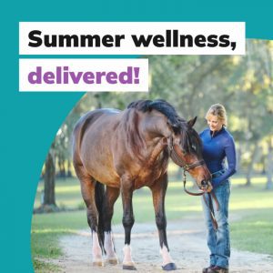 social thumbnail equine marketing toolkit