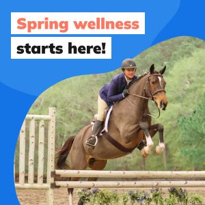 Social Thumbnail for Equine Engagement Materials, Equine