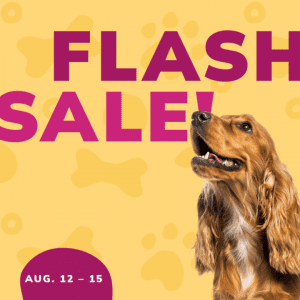 Social Thumbnail for Week 3, Companion