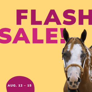 Social Thumbnail for Week 3, Equine