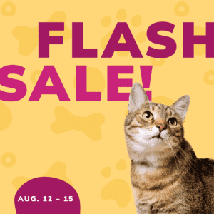 Social Thumbnail for Week 3, Companion