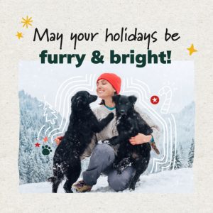 Social Thumbnail for Week 6, Companion