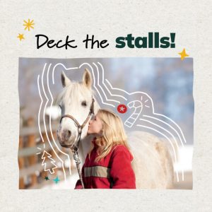 Client Engagement Materials, Equine