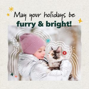 Social Thumbnail for Week 6, Companion