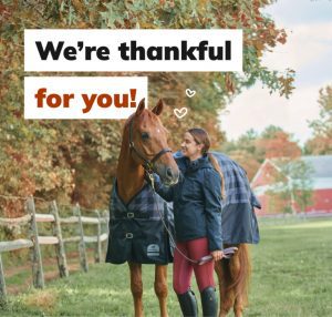Client Engagement Materials, Equine