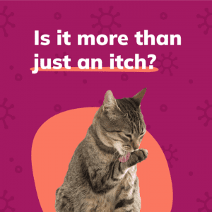 Social Thumbnail for Week 6, Companion