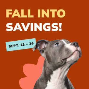 Social Thumbnail for Week 3, Companion