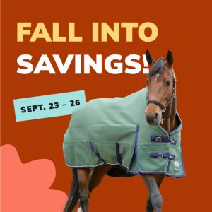 Social Thumbnail for Week 4, Equine