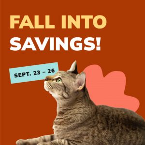 Social Thumbnail for Week 3, Companion