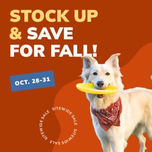 Social Thumbnail for Week 5, Companion