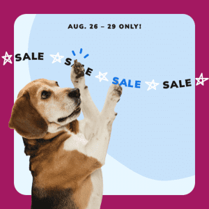 Social Thumbnail for Week 5, Companion