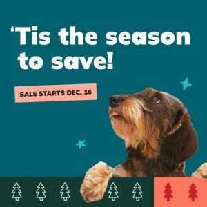 Social Thumbnail for Week 3, Companion