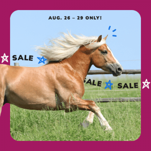 Social Thumbnail for Week 5, Equine