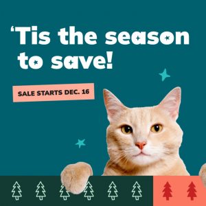 Social Thumbnail for Week 3, Companion