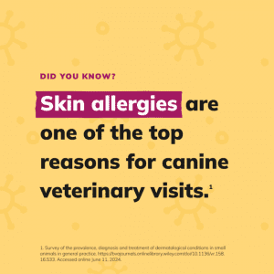 Social Thumbnail for Week 6, Companion